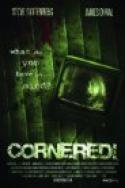 Cornered! (2008)